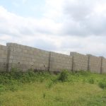 WhatsApp Image 2025-06-30 at 10.56.20 AM